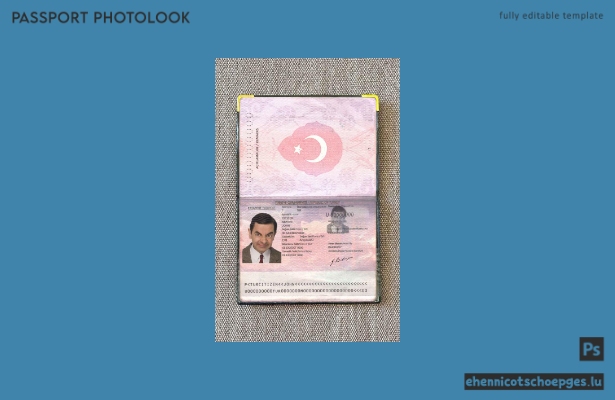 Vorschau: Altes Passfoto (Türkei)
